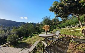 Calme Et Vue Panoramique